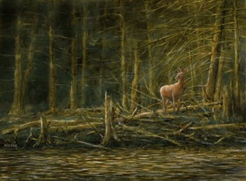 First Light by John Morrow art print