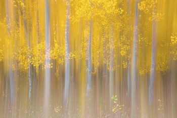 Changing Seasons by Darren White Photography art print