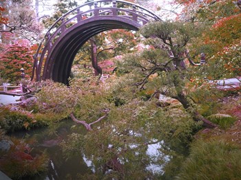 Nature Park by Stephanie Analah art print