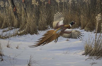 Landing Zone by Wilhelm J. Goebel art print