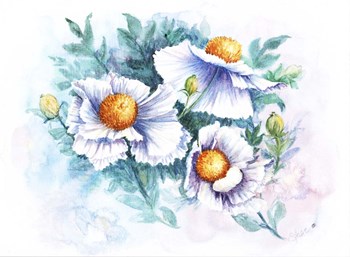 White Poppies by Sher Sester art print