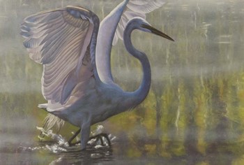 Razzle Dazzle by Rusty Frentner art print