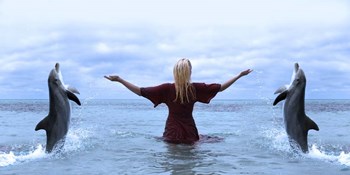 Play With Me by Ata Alishahi art print