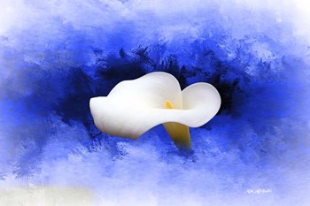 A Flower by Ata Alishahi art print