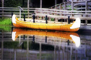 Canoe by Ata Alishahi art print