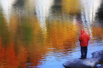 Fishing by Ata Alishahi art print