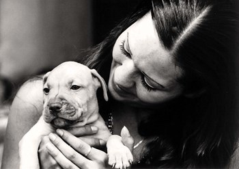 My Poppy by Ata Alishahi art print