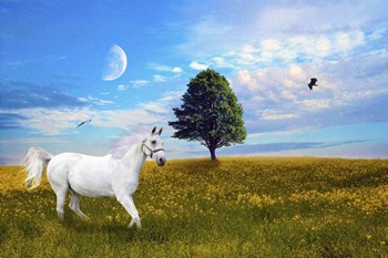Wild White Horse by Ata Alishahi art print