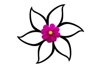 One Pink Flower by Ata Alishahi art print