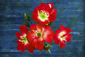 Floral Design J by Ata Alishahi art print