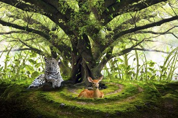 Peaceful Life by Ata Alishahi art print