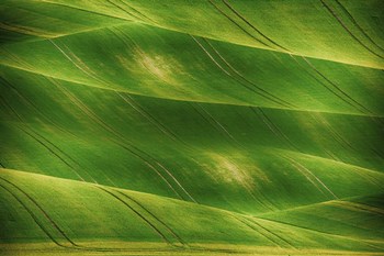 Greenland by Ata Alishahi art print