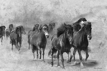 Wild Horses 2 by Ata Alishahi art print
