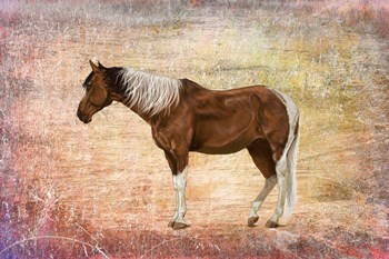 Horse Image by Ata Alishahi art print