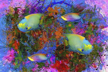 Fish Art 3 by Ata Alishahi art print