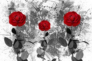 Red Roses by Ata Alishahi art print