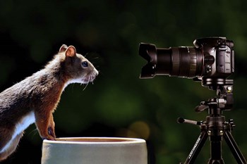 Smile by Ata Alishahi art print