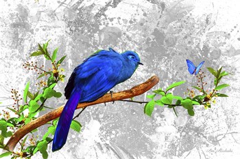 Bird Collection 6 by Ata Alishahi art print