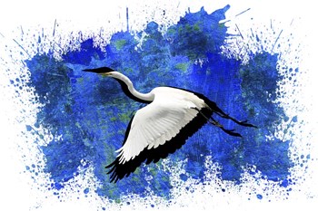 Bird Collection 10 by Ata Alishahi art print