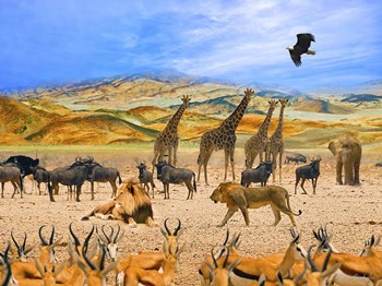 Lion African Safari 1A by Ata Alishahi art print