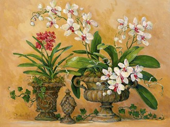 An Orchid Renaissance by Barbara Mock art print