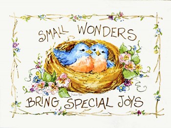 Small Wonders by Barbara Mock art print