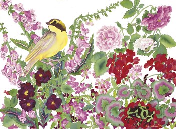 Warbler With Frog by Carissa Luminess art print