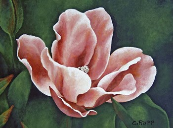 A One Day Show by Carol J Rupp art print