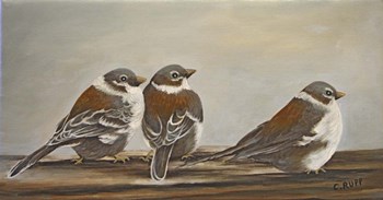 Chickadees on the Deck by Carol J Rupp art print