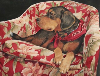 Just Hanging Out by Carol J Rupp art print