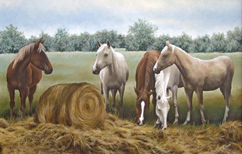 Morning Hay by Carol J Rupp art print
