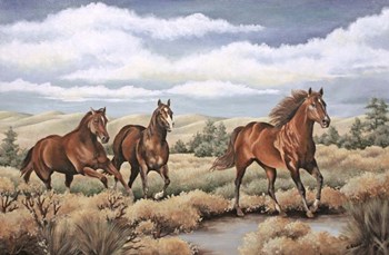 Spirit of the Southwest by Carol J Rupp art print