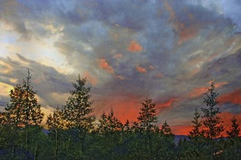 Fire in the Sky by Carol J Rupp art print