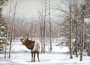 Valley Of The Utes by Carol J Rupp art print