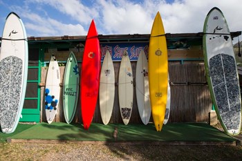 Surfboards Leaning Against Beach Shack, Hawaii by Panoramic Images art print