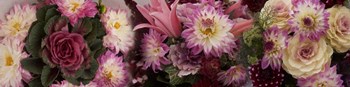 Close-up of Flowers in a Bouquet by Panoramic Images art print