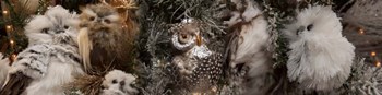 Close-up of Assorted Owls by Panoramic Images art print