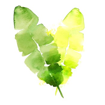 Tropical Icons Banana Leaf by Northern Lights art print