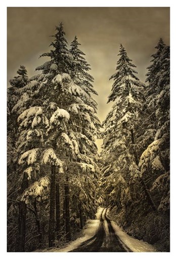 Wagner Creek Snow by David Lorenz Winston art print