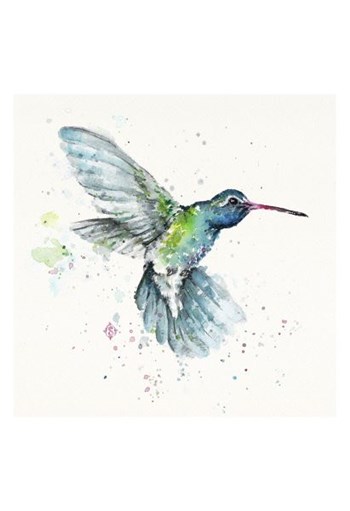 Hummingbird Flurry by Sillier than Sally art print