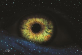 The Eye by Martin Podt art print
