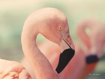 Pink Flamingo by Seven Trees Design art print