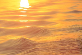 Sunset Colors and Patterns on Small Waves by Stuart Westmorland / Danita Delimont art print