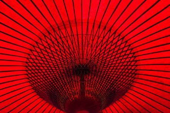 Red Umbrella, Gifu, Japan by Keren Su / Danita Delimont art print