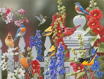 Birds - Spring &amp; Summer by William Vanderdasson art print