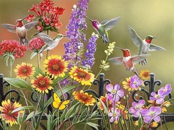 Hummingbirds - Fall by William Vanderdasson art print
