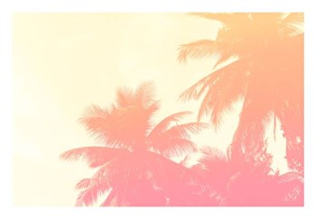 Coconut Palm Trees by Summer Photography art print