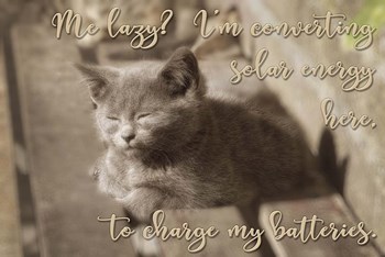 Me Lazy by Cora Niele art print