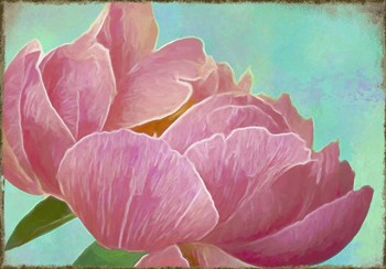Pink Peony by Cora Niele art print