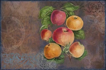 Apples - Fruit Series by Cora Niele art print